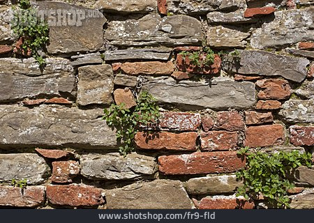 
                Mauer, Natursteinmauer                   