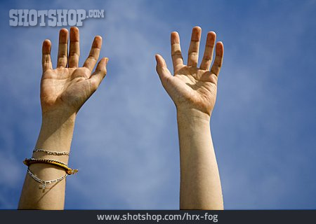 
                Hand                   