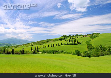 
                Hügellandschaft, Toskana, Val D’orcia                   