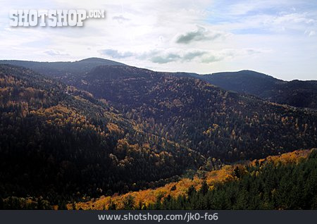 
                Landschaft, Wald, Schwarzwald                   