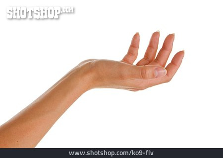 
                Hand, Frauenhand                   