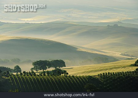 
                Hill Landscape, Tuscany                   