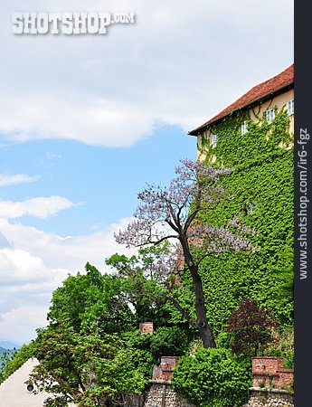 
                Bastei, Grazer Schlossberg                   