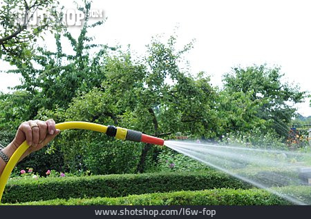 
                Bewässerung, Gartenschlauch                   