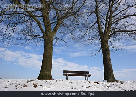 
                Baum, Parkbank, Winterlich                   
