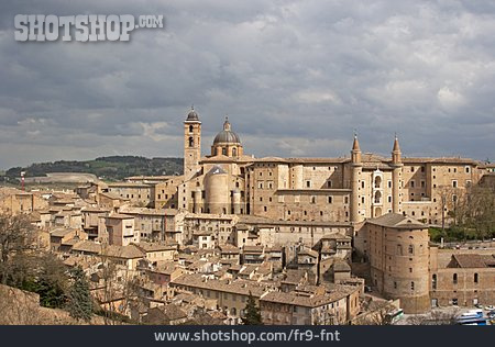 
                Urbino                   