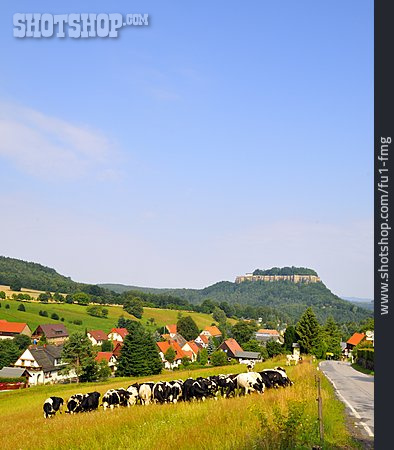 
                Dorf, Sächsische Schweiz, Königstein                   