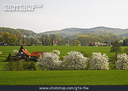 
                Dorf, Niedersachsen, Osnabrücker Land, Hagen Am Teutoburger Wald                   