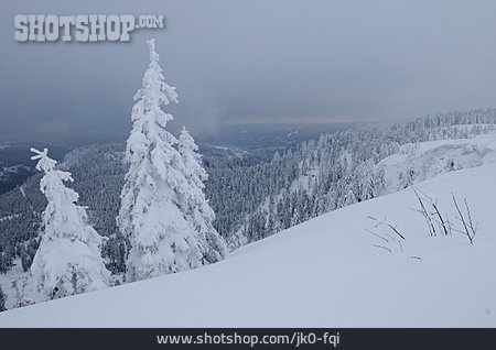 
                Winterlandschaft, Schwarzwald                   
