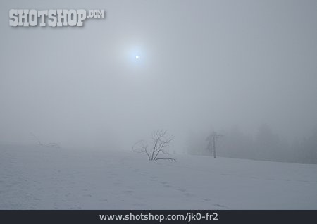 
                Winterlandschaft, Nebel, Verschneit                   
