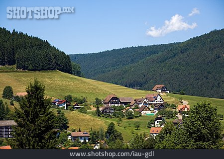 
                Schwarzwald, Baiersbronn                   