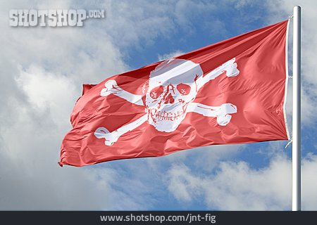 
                Piratenflagge                   