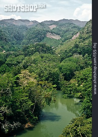
                Regenwald, Guatemala                   