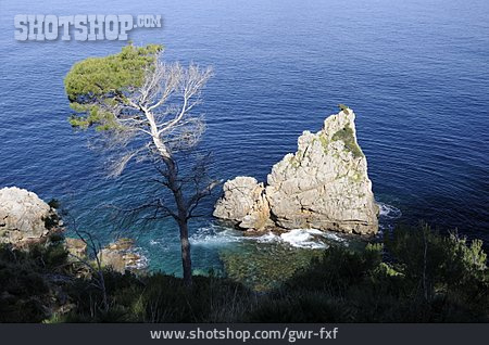 
                Felsküste, Mittelmeer, Mallorca                   