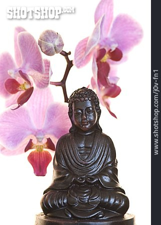 
                Meditation, Buddhafigur                   