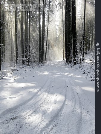 
                Winterlandschaft, Waldweg, Nadelwald                   