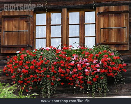 
                Fenster, Blumenkasten, Blumenschmuck                   