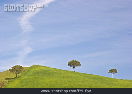 
                Hügellandschaft, Toskana                   