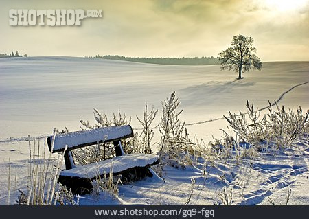 
                Winter, Sitzbank                   