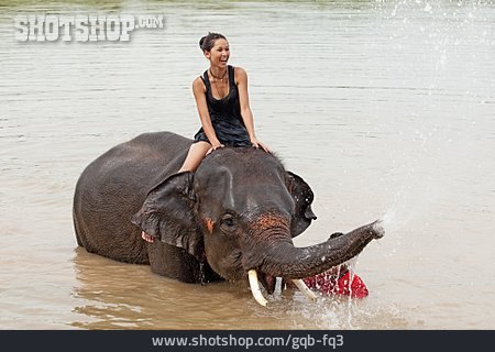 
                Elephant, Elefant Ride                   