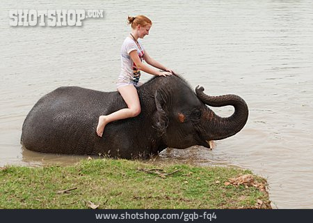 
                Elefant, Elefantenritt                   