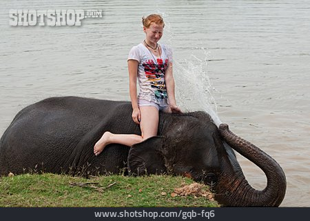 
                Elephant, Elefant Ride                   