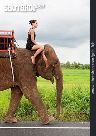 
                Jugendliche, Elefantenritt                   