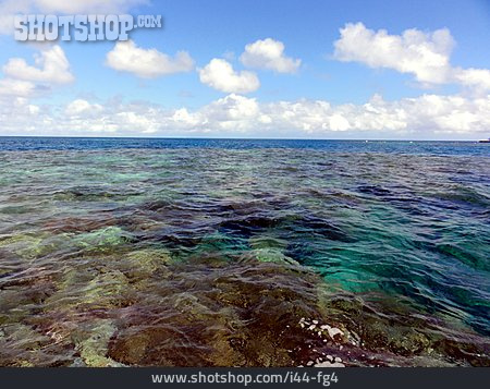 
                Meer, Great Barrier Reef                   