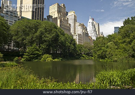 
                See, New York, Central Park                   
