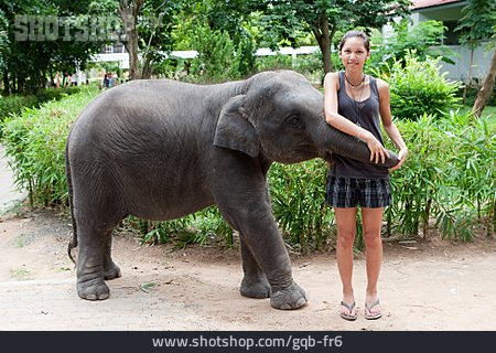 
                Teenager, Elefant                   
