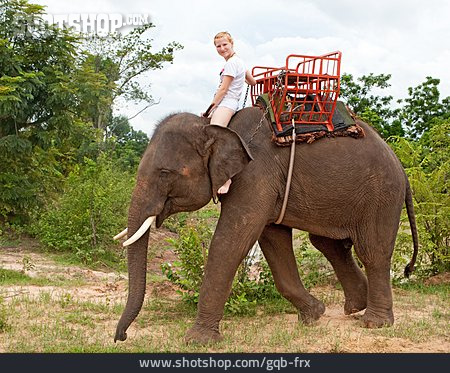 
                Touristin, Elefantenritt                   