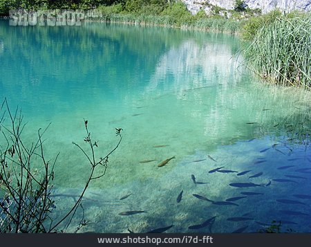 
                See, Naturschutzgebiet, Plitvicer Seen                   