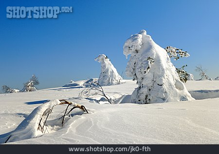 
                Winter, Winterlandschaft, Schnee                   