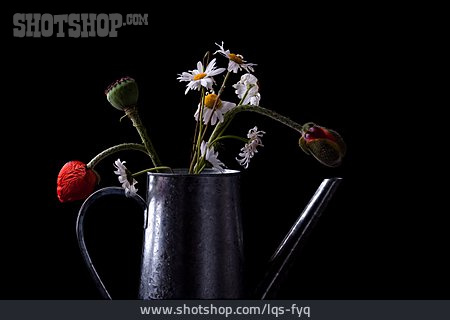 
                Blumenstrauß, Verwelkt, Blumendekoration                   