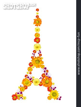 
                Blüte, Paris, Eiffelturm                   