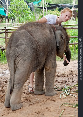 
                Junge Frau, Streicheln, Elefantenbaby                   