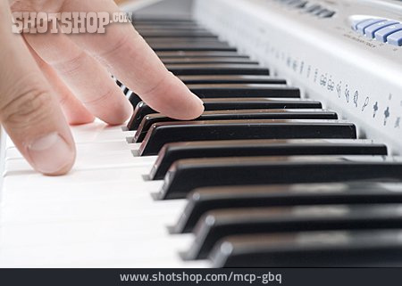 
                Musizieren, Keyboard, Keyboarder                   