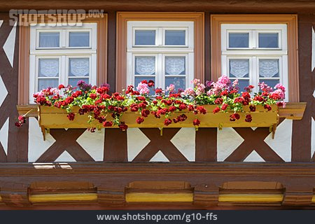 
                Fenster, Blumenkasten                   