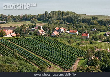 
                Weinbau, Weinbaugebiet                   