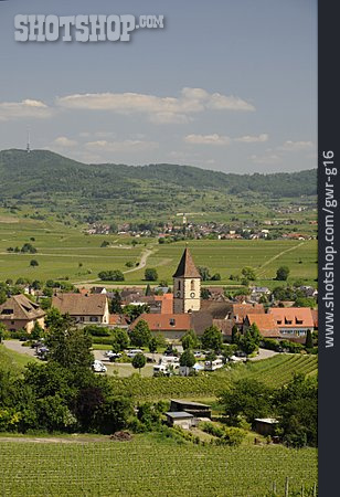 
                Weinanbaugebiet, Burkheim Am Kaiserstuhl                   