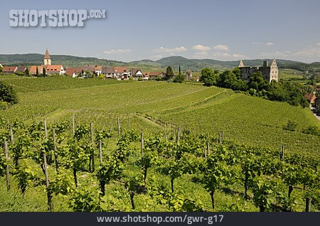 
                Weinanbaugebiet, Burgruine, Burkheim Am Kaiserstuhl                   