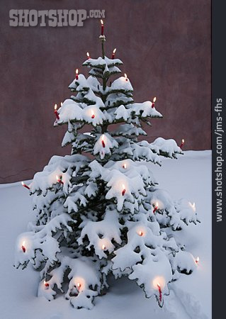 
                Kerzenlicht, Weihnachtsbaum                   