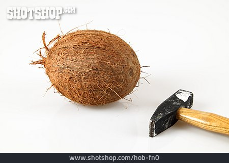 
                Kokosnuss, Hammer                   