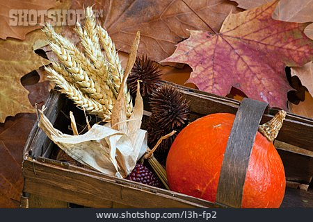 
                Herbstlich, Kürbis, Weizenähre                   