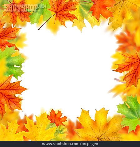 
                Herbstlaub, Rahmen, Ahornblatt                   