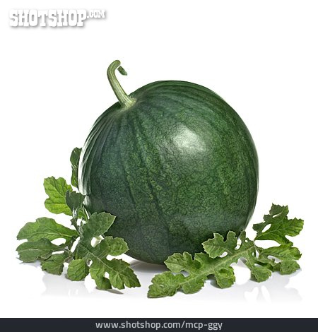 
                Wassermelone, Kürbisgewächs                   