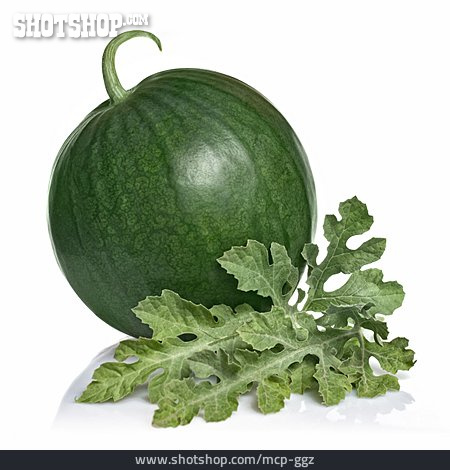 
                Wassermelone, Kürbisgewächs                   