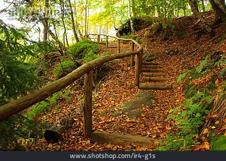 
                Treppe, Waldweg, Wanderweg                   