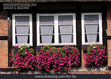 
                Fenster, Fachwerkhaus, Blumenschmuck                   
