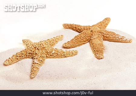 
                Sand, Seestern, Maritim                   